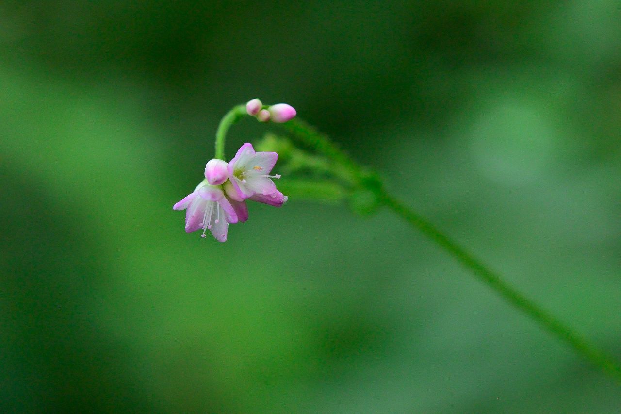d0328977_22594737.jpg