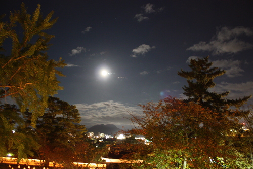 b0174284_1301332.jpg