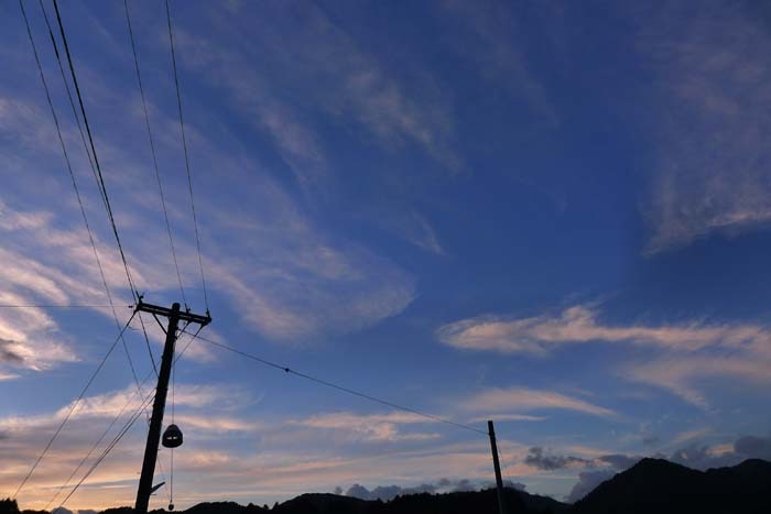 a0130586_2003914.jpg