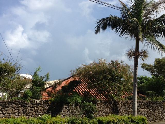 c0064389_10142569.jpg