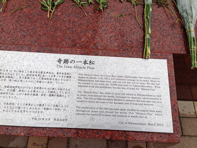 d0050290_16413489.jpg