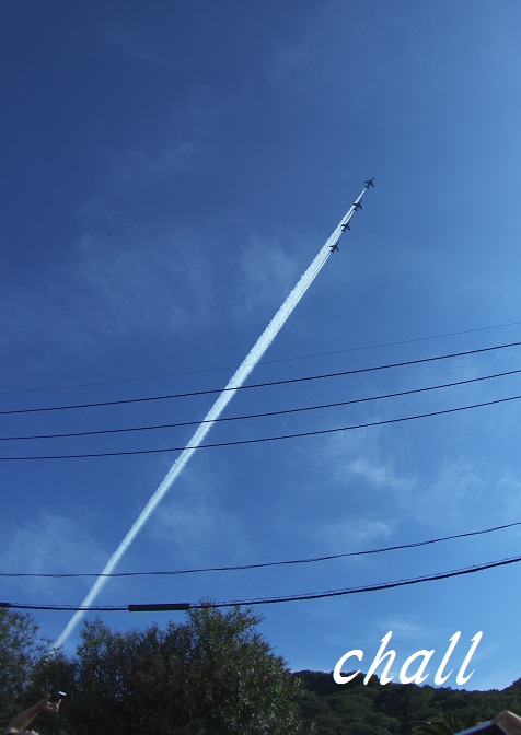 b0179101_21354695.jpg