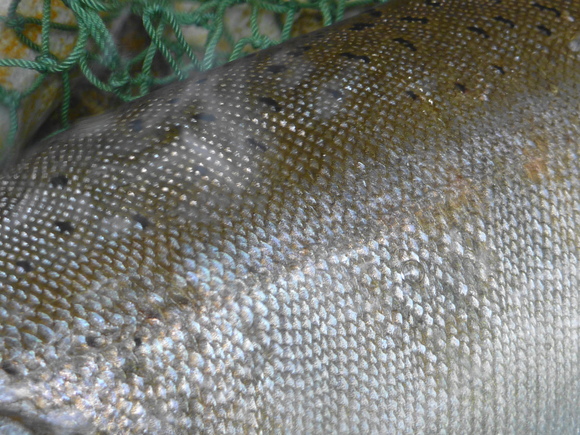 b0229003_8305155.jpg