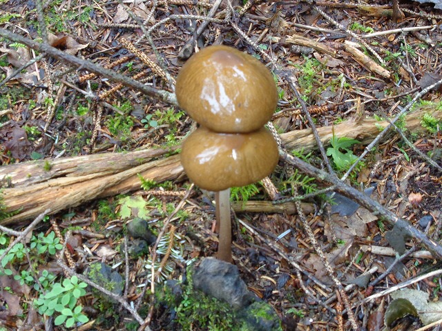 b0326303_09104104.jpg