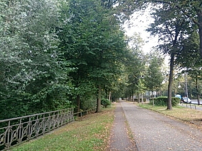 f0096508_19513014.jpg