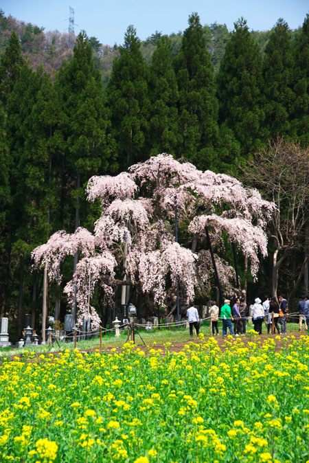 a0263109_9371572.jpg