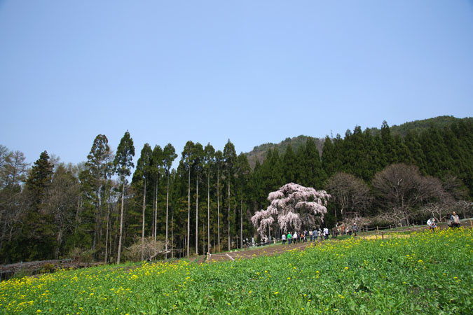 a0263109_9371992.jpg