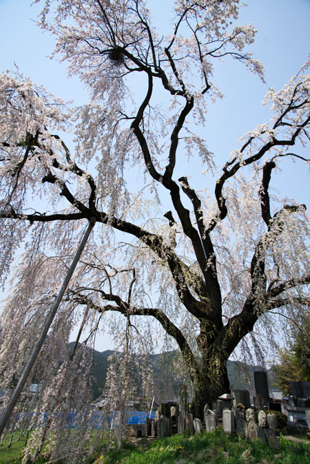 a0263109_9372558.jpg