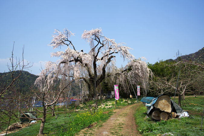 a0263109_9372967.jpg