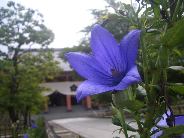 e0033713_09430044.jpg