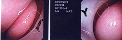 a0082724_21343485.jpg