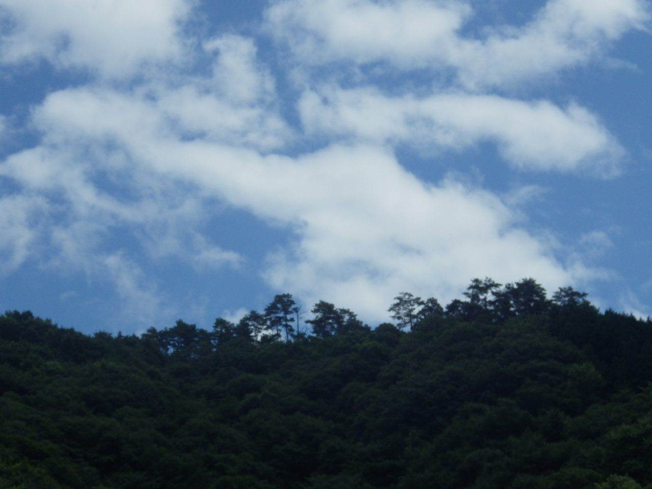 c0300035_13351734.jpg