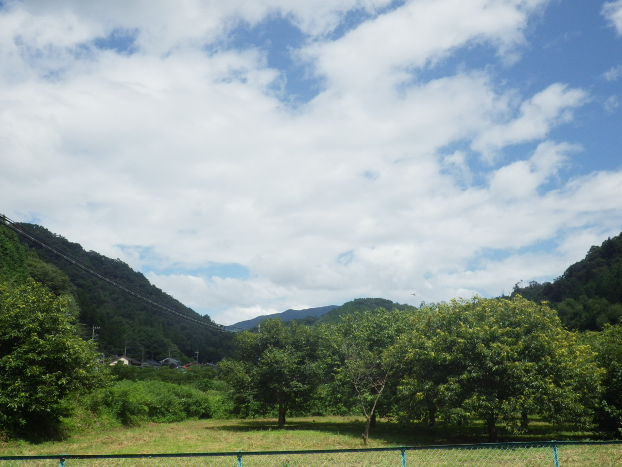c0300035_13361475.jpg