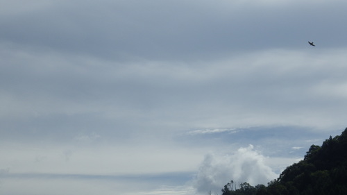 c0300035_82083.jpg