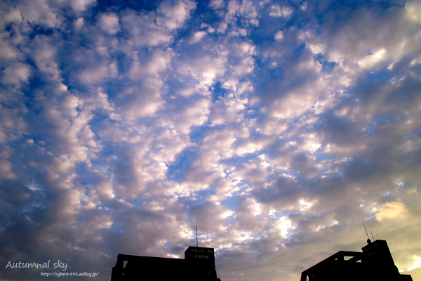 f0009439_22410670.jpg