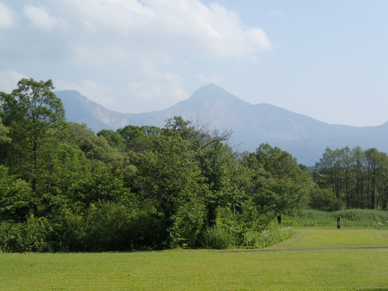 b0190242_11294626.jpg