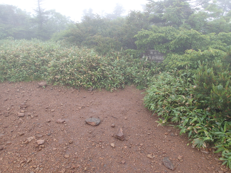 b0190242_11342959.jpg