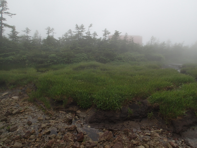 b0190242_11363334.jpg