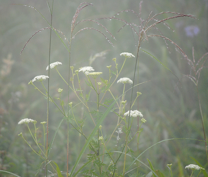 a0001354_2314677.gif