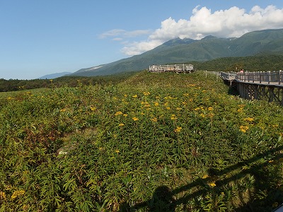 e0004756_21451774.jpg