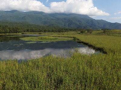 e0004756_21472557.jpg