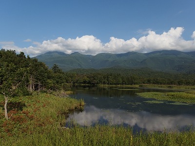 e0004756_2147339.jpg