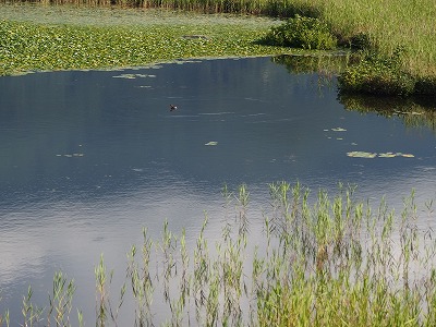 e0004756_21485014.jpg