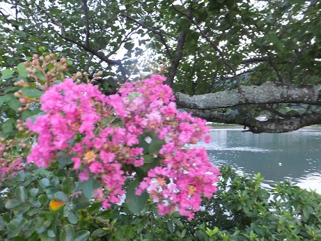 f0113862_2002756.jpg