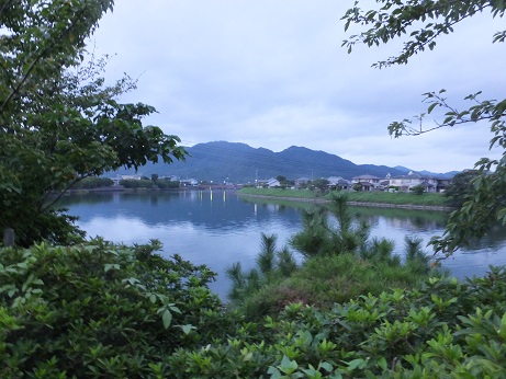f0113862_20193316.jpg