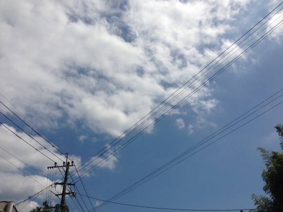 b0267163_11464069.jpg