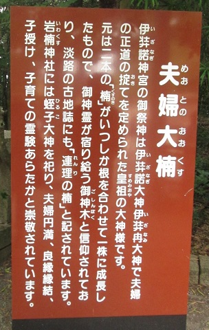 d0029363_17176.jpg