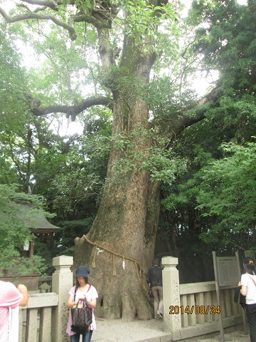 d0029363_175299.jpg