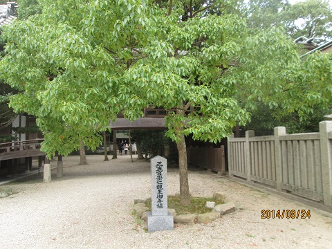 d0029363_18476.jpg