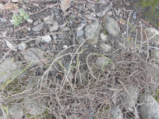 f0318967_23220996.jpg