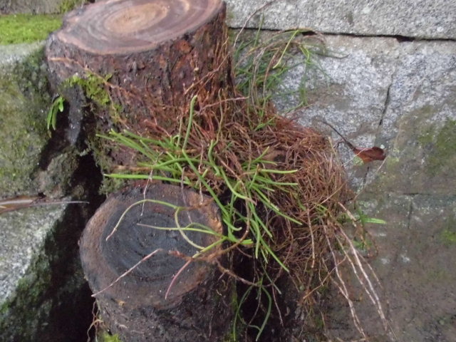 f0318967_23293621.jpg