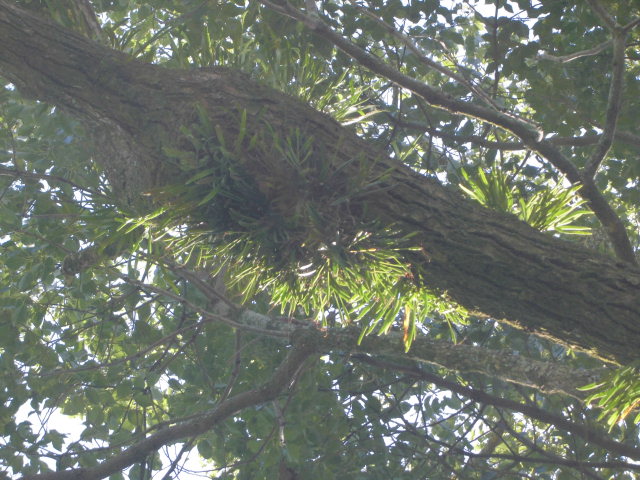 f0318967_23390209.jpg
