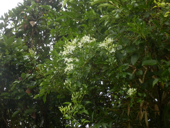 e0292172_2135565.jpg