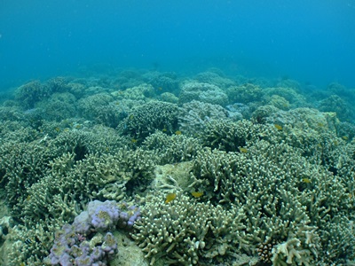 b0033573_17481970.jpg
