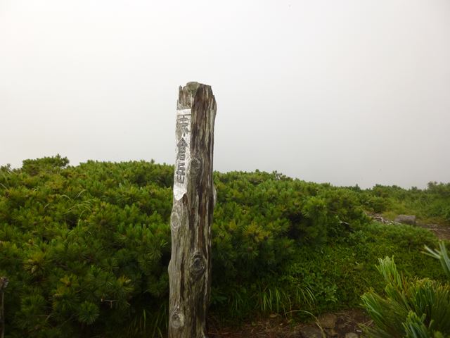 d0126573_21205349.jpg