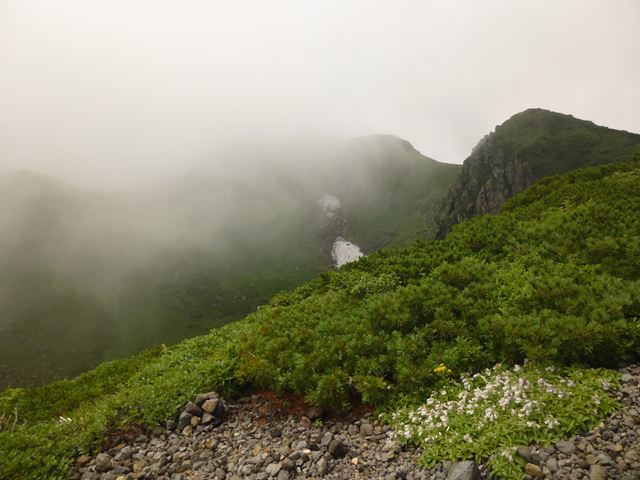 d0126573_21235029.jpg