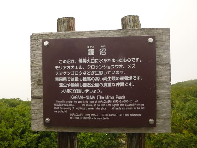 d0126573_21363098.jpg