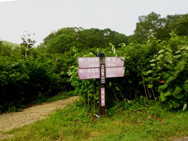 d0126573_21391950.jpg
