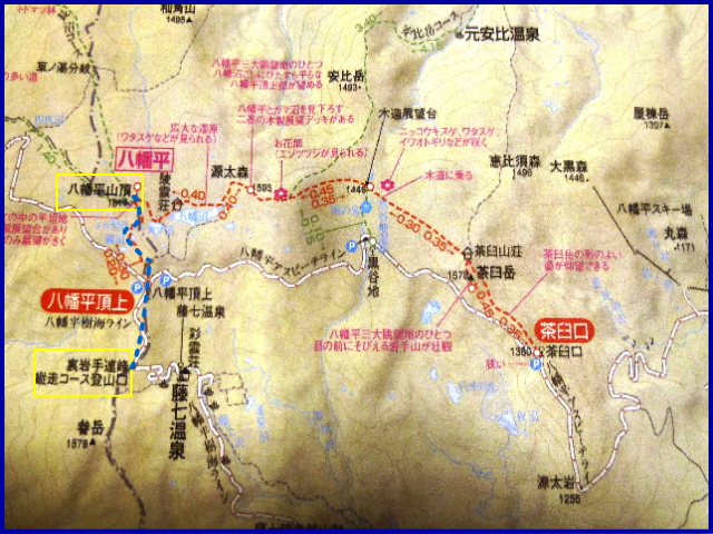 d0126573_2144821.jpg