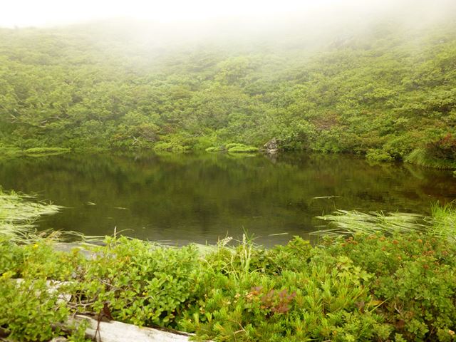d0126573_2151248.jpg