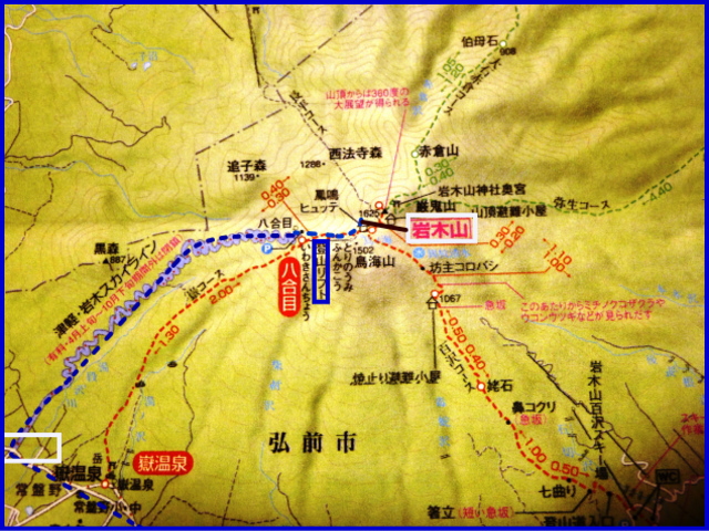 d0126573_2282718.jpg