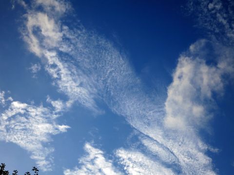 f0047773_2384035.jpg