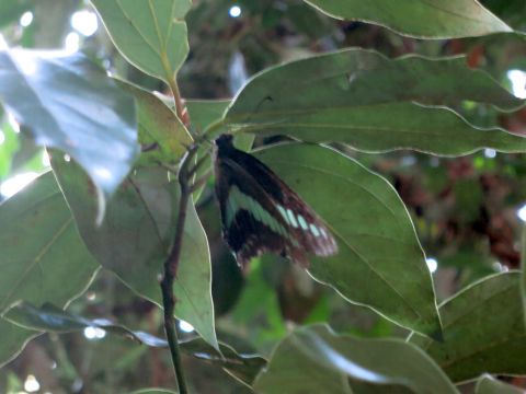 f0047773_2394231.jpg