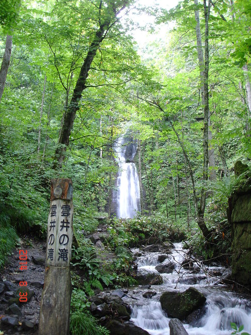 d0165378_10163537.jpg