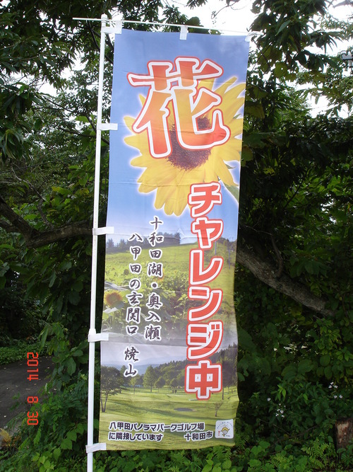 d0165378_1774429.jpg
