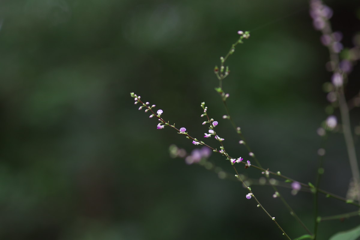 a0083081_15572067.jpg